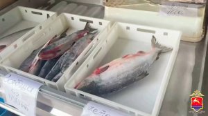 Сотрудники МВД пресекли продажу почти полтонны немаркированной рыбы в Магадане
