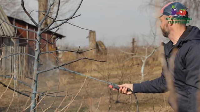 ВЕСЕННИЕ РАБОТЫ В САДУ И ОГОРОДЕ: что обязательно сделать в апреле?