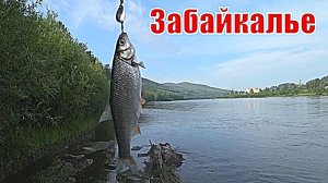 Рыбалка в Забайкалье река Ингода