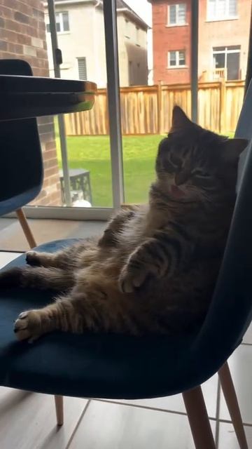 Состояние по утрам