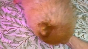 Доброго всем утречка и самого чудесного дня.