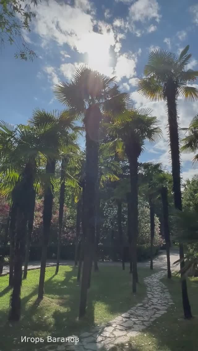 Учиться эмоциям