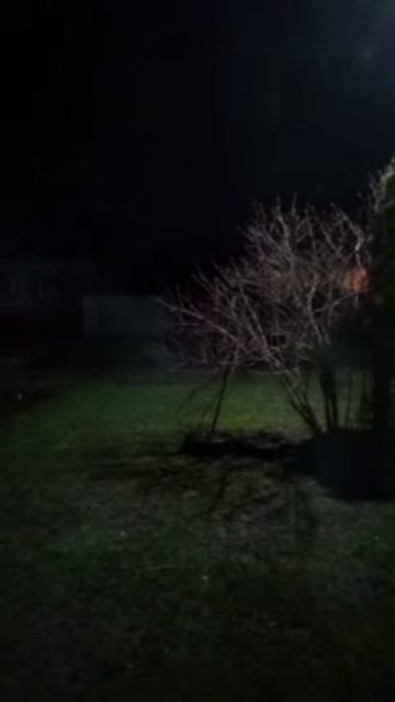 Цвет травли красный