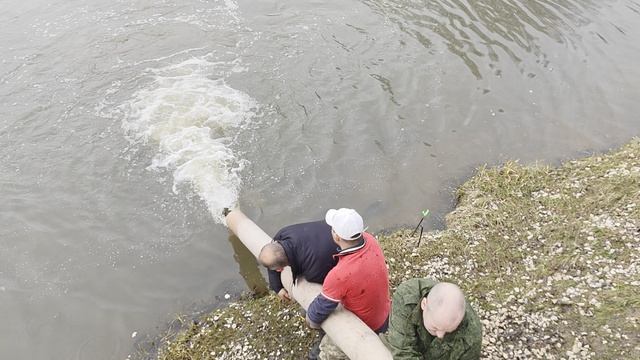 Карповый сезон сезон открыт.