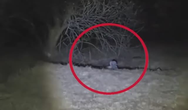 Инопланетяне Уже Среди Нас