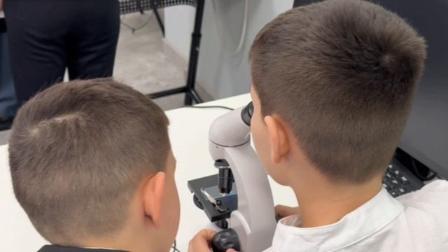 Елизарова И.В  визитка на конкурс Лучший учитель начальных классов 2026