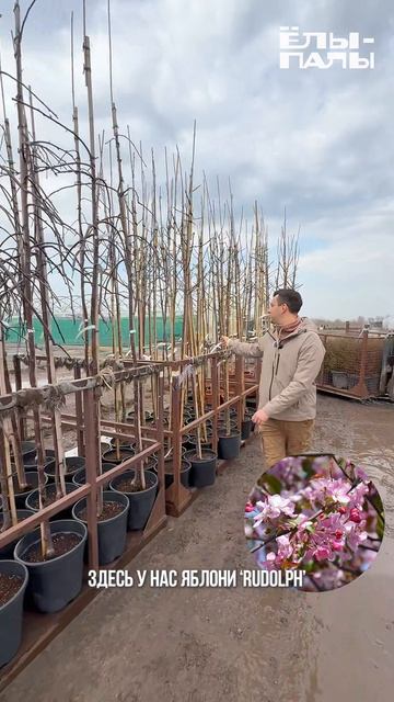 2026.04.15_Две фуры сразу! Что уезжает в Краснодар из ЁЛЫ-ПАЛЫ