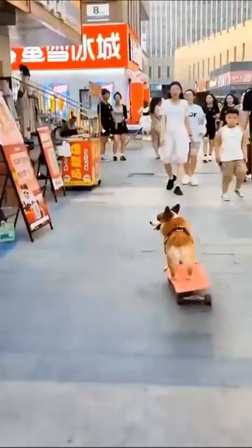 А ну раступись😁!))