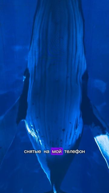 Мой двухнедельный челлендж