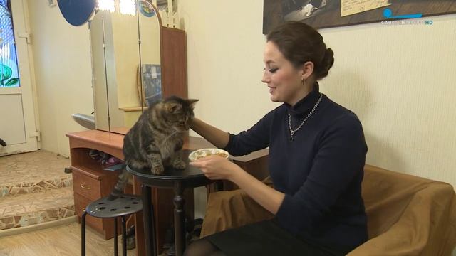 Фёдор, сорвавший овации  полосатый талисман Театра Дождей  Канал «Санкт-Петербург»