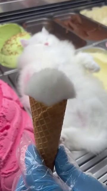 Пушистое мороженое. 