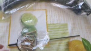 Мои огурчики и классная стойка к ним.