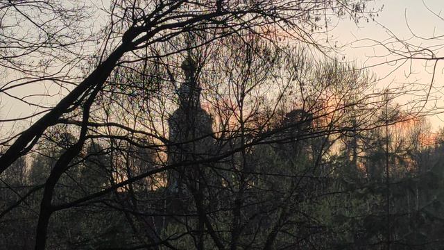 Серебряный Бор 16 апреля 2026