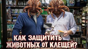 ОЙ, КЛЕЩ! 🕷️ Как не заразить собаку и кошку? Таблетки vs капли | Скалярики + Мохнатый Бро
