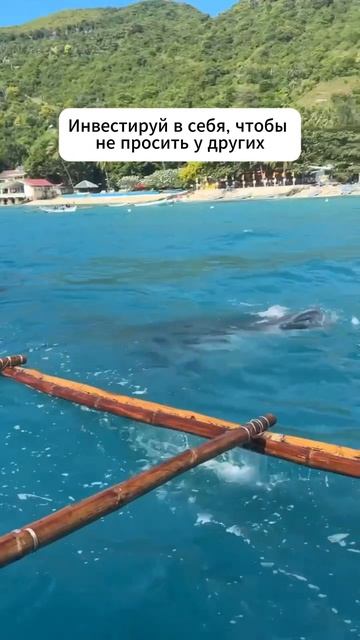 Это не только о деньгах 👇 #мотивация #заработок #деньги #успех #бизнес #здоровье