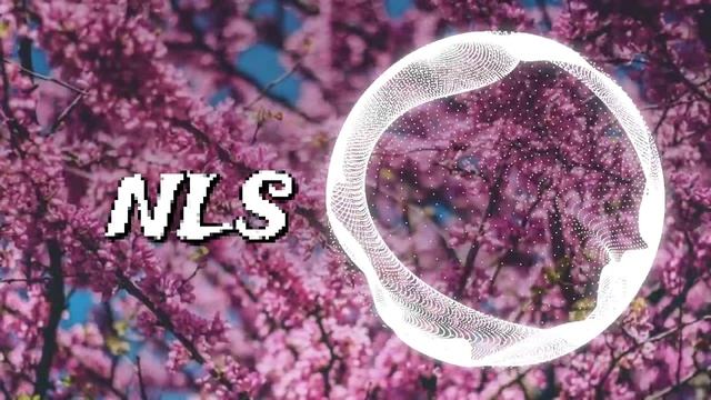 KUÇKA - Never Give Up On Loving You | Dance Pop [2025]