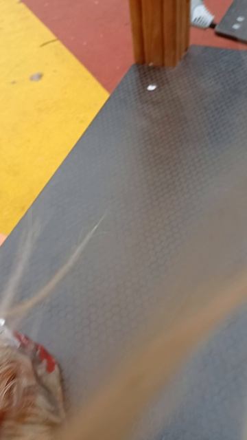 я с Настей попали за Марию