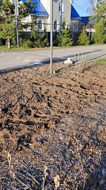 Наш сад мульчируем ... automobile