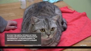 В качестве меры профилактики 15-04-2026