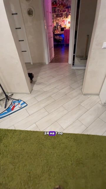 А ваши общительные?