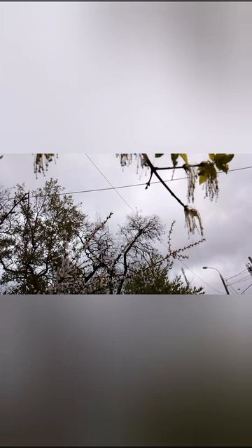 Любимой Татьяне посвящается!!!