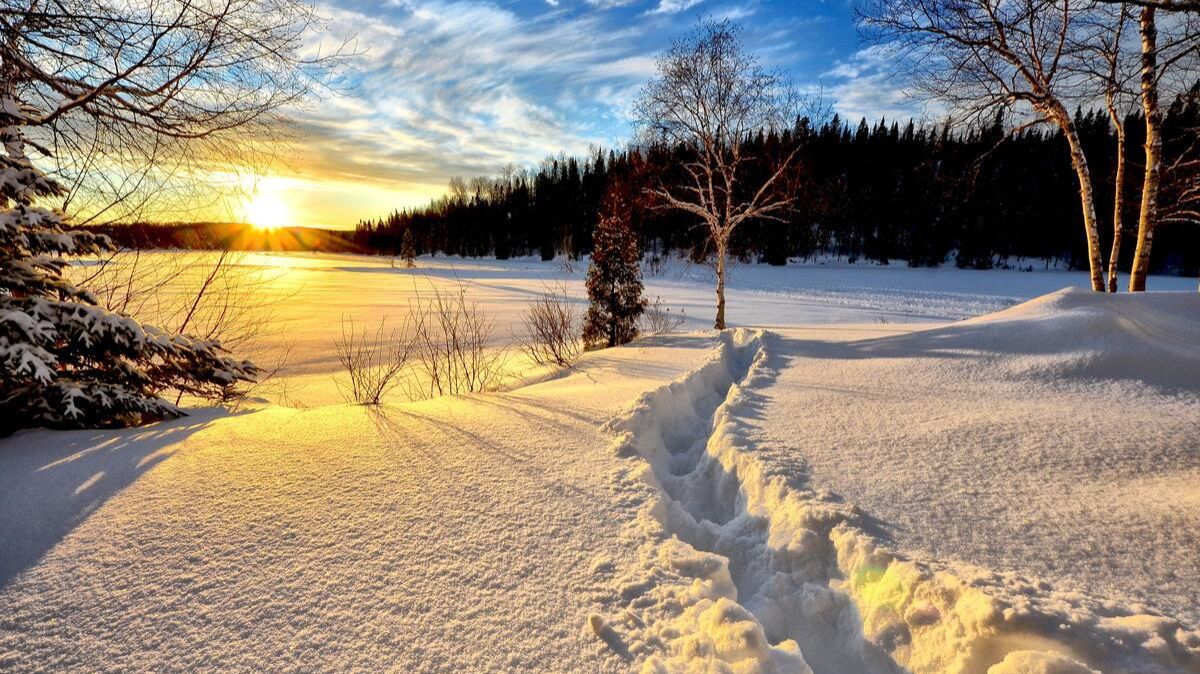 Пушкин я помню чудное мгновенье треш   ИИ