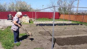 Настала жаркая пора. Посевная полным ходом. Жизнь на пенсии.