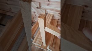 1000056169.mp4 (Собака наблюдает за устройством лестницы на 2-ой этаж в доме А-фрейм)