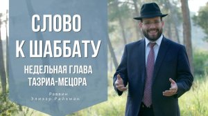 Слово к шаббату Тазриа Мецора от раввина Элиэзера Райхмана