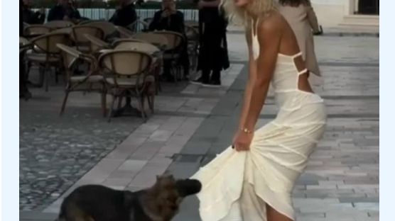 Подборка Мгновенных Сожалений и Неудач