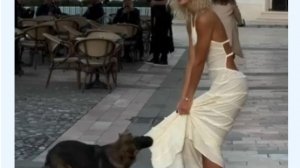 Подборка Мгновенных Сожалений и Неудач