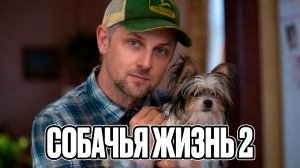 Зубарев смотрит «Собачья жизнь 2»