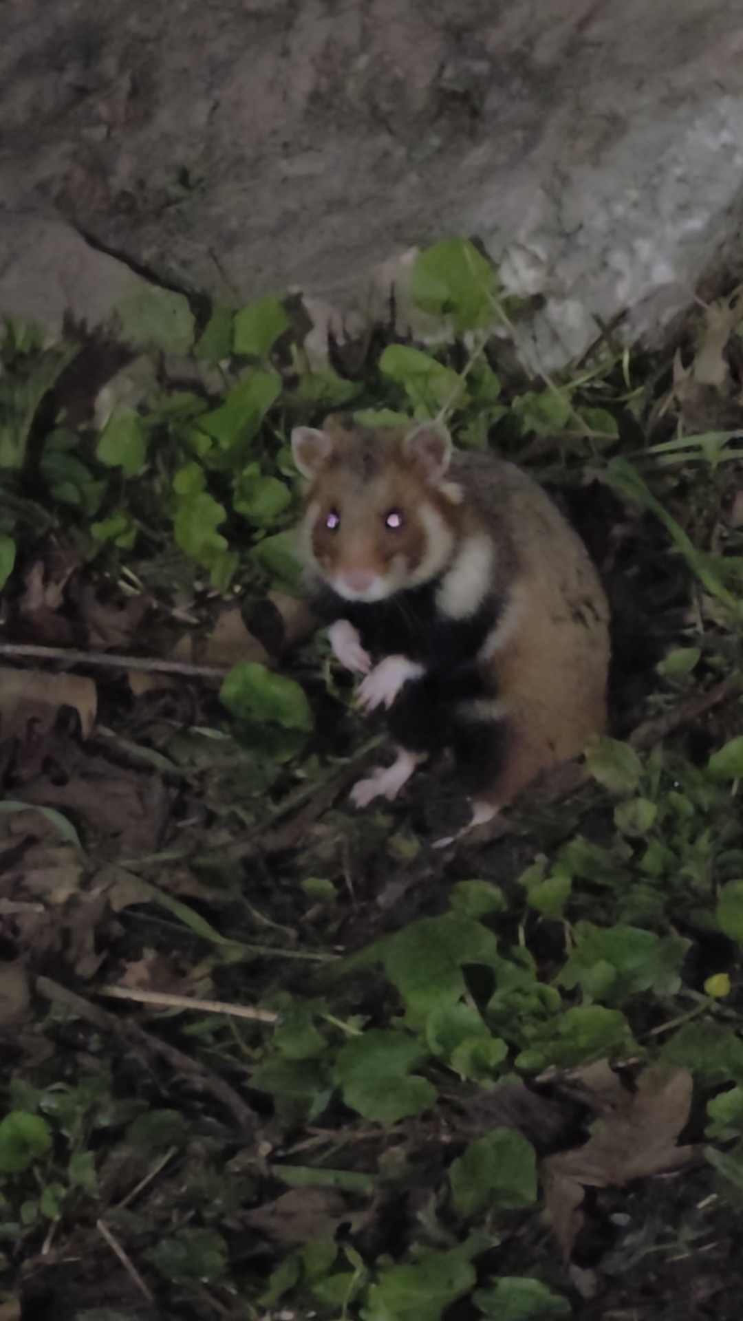 Симферополь 16 апреля 2026 #россия #крым #samsung #море #черноеморе #отдых #юг #видео #симферополь