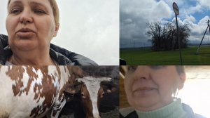 Простая жизнь в Деревне