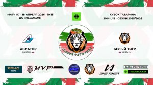 КУБОК ТАТАРИНА 17-18 апреля матч 7 «Авиатор» г. Казань - «Белый тигр» г. Казань