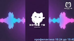 Котик ТВ