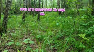 7 ошибок,которые ломают судьбу.