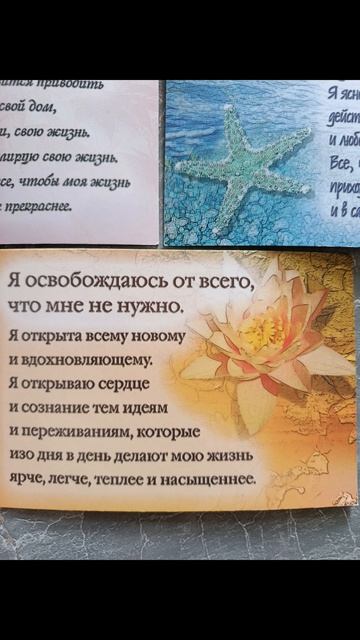 Девиз дня!✨16.04.2026.Выбирай вариант фраз!Исполняй задуманное!Доверяй жизни!Устраняй негатив!#мысли