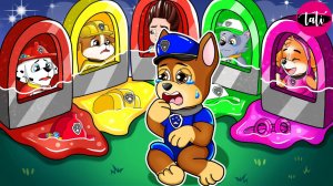 Щенячий патруль и Маршалл. Залипательное видео. Мультфильм для детей и малышей. Анимация 414