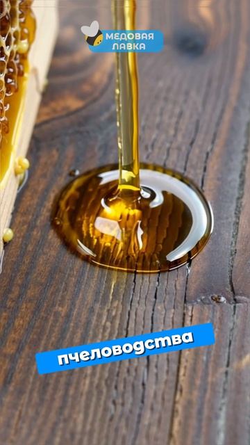 Пчелы чуют БОЛЕЗНИ! Врачи в шоке! 🩺🐝