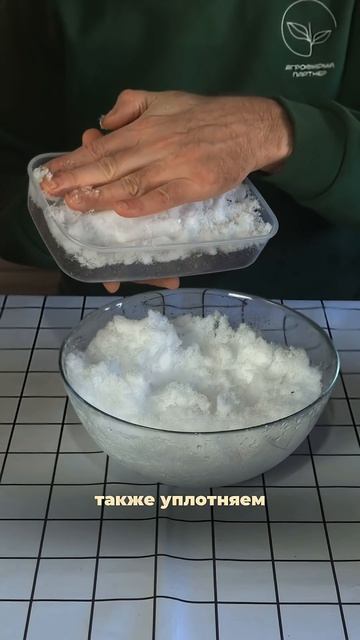 КАК ВЫРАСТИТЬ КРЕПКУЮ РАССАДУ ЗЕМЛЯНИКИ И СОБИРАТЬ СЛАДКИЙ УРОЖАЙ ВСЁ ЛЕТО SemenaPartnerShorts