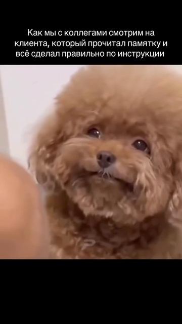 Любимые клиенты