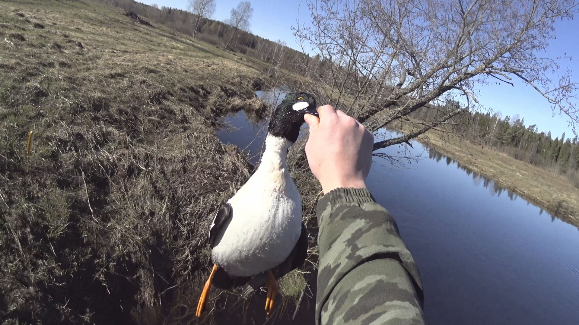 Весенняя охота 2026!!!!