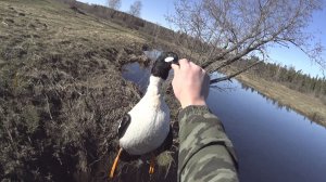 Весенняя охота 2026!!!!