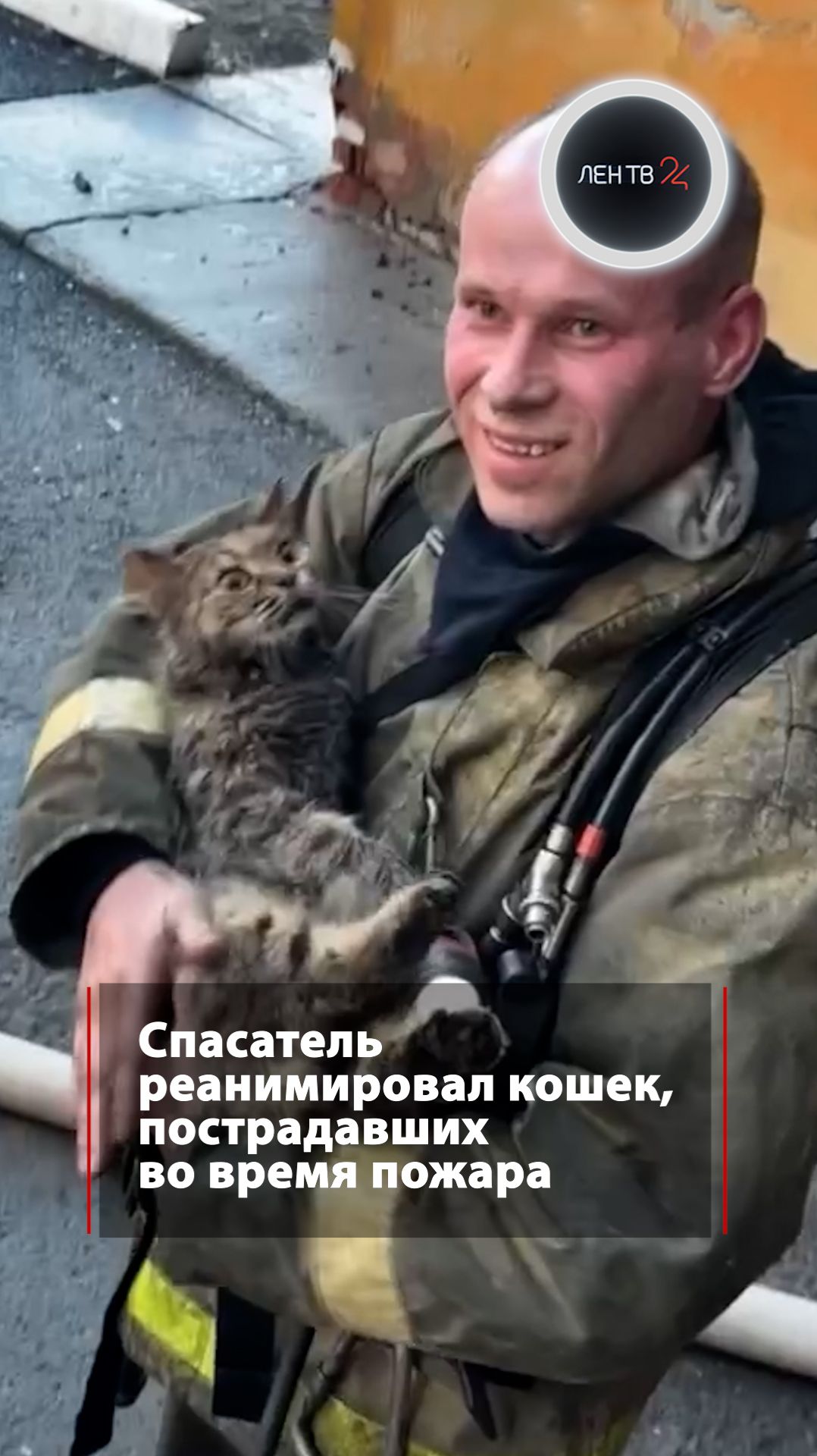 Спас не только людей но и кошек