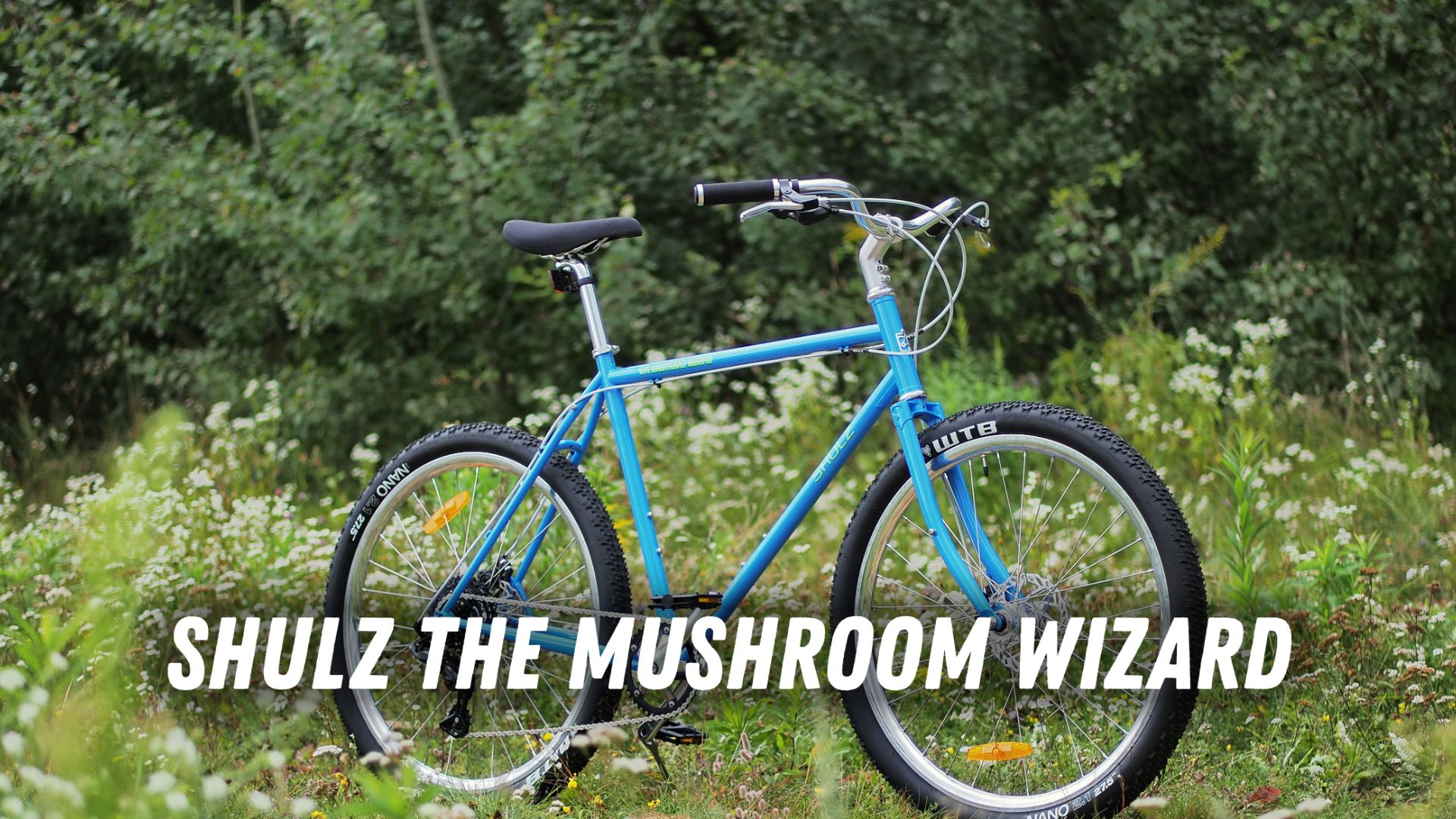 Shulz The Mushroom Wizard 16-9