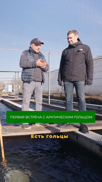 Встречали такую рыбу? #рыба #рыбоводство #ферма #фермерство #бизнес #эко #акваферма #лосось