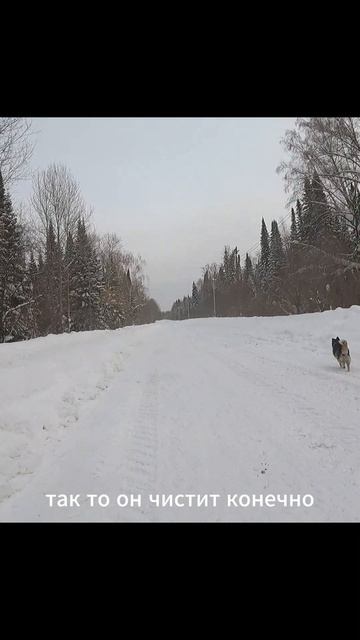 «Снег ещё не сдался»