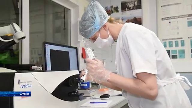 В Воронежской области заметно сократилось поголовье сельскохозяйственных животных