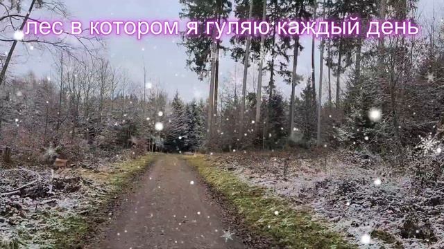 Зимний лес каждый день: путь человека прошедшего через смерть